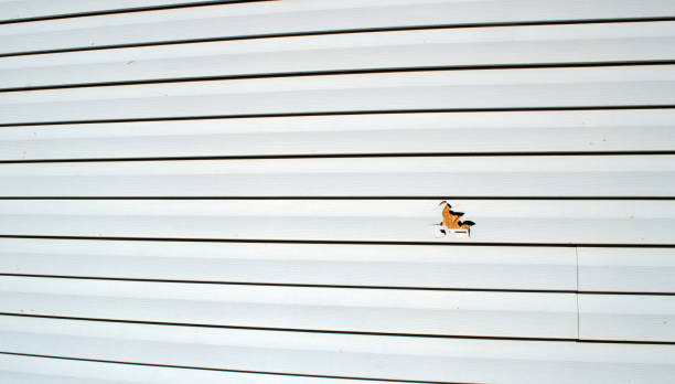 Best Stucco Siding  in Riverside, OH